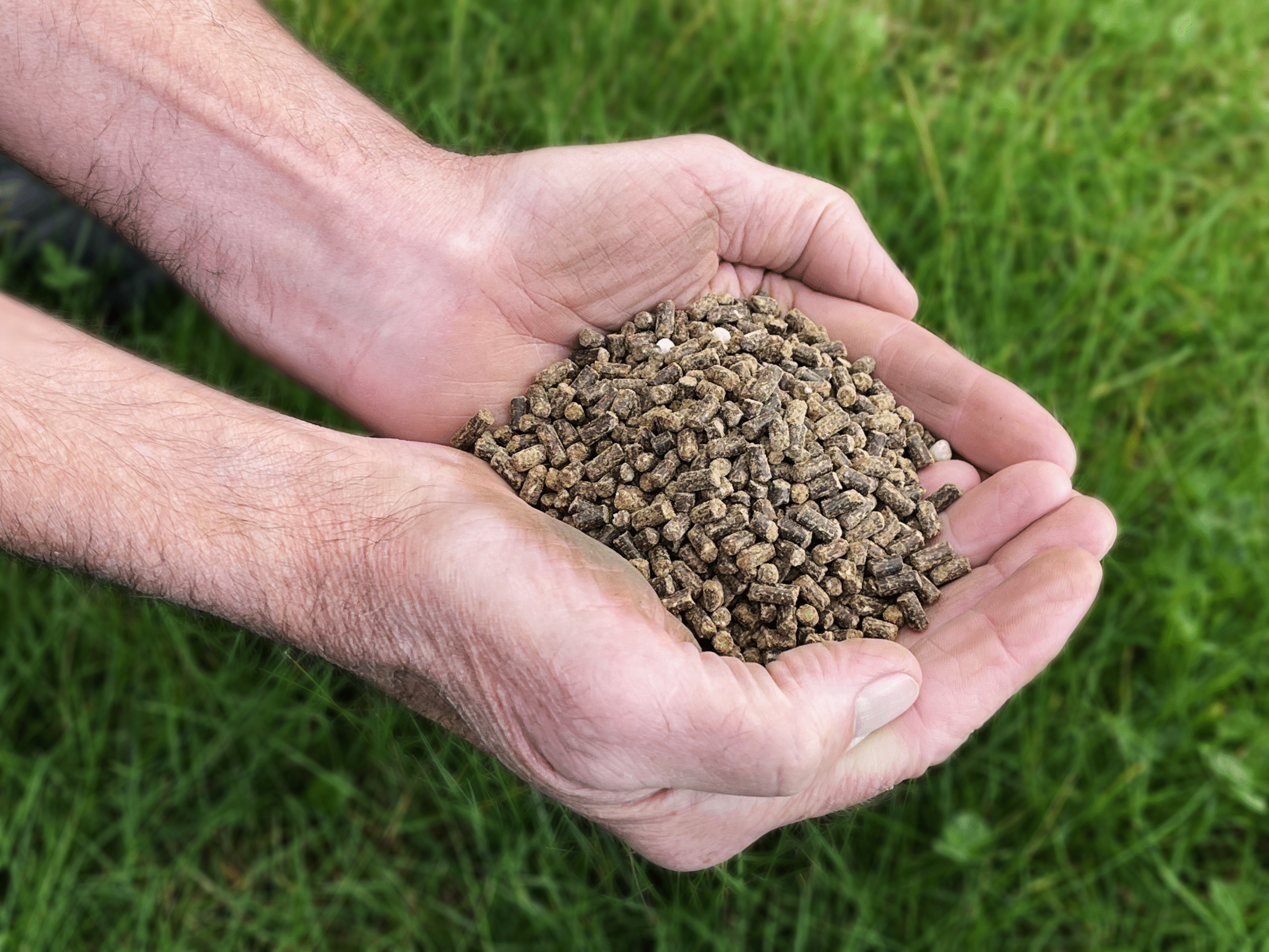 IMG_2145_redi kopier